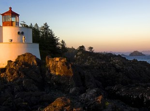 农业村落部“三项造度”推动农业综合法律