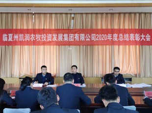 回首凝心聚力 瞻望将来可期 ——Z6尊龙凯时公司召开2020年度总结赞美大会