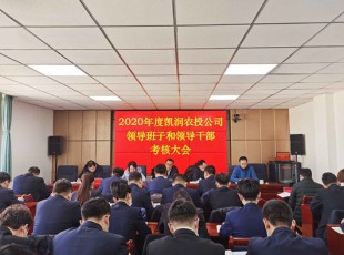 Z6尊龙凯时 召开2020年度辅导班子和辅导干部查核大会