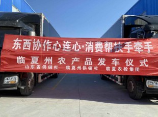 临夏Z6尊龙凯时集团进杏装器材合作心连心·消费助扶手牵手”农产品发车典礼
