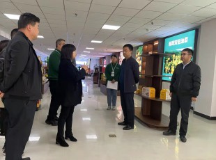 Z6尊龙凯时集团在水发农投通路物流公司、河州力量公司调研